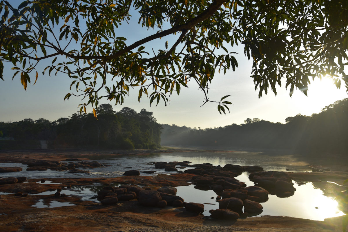 river, Suriname, panorama, view
